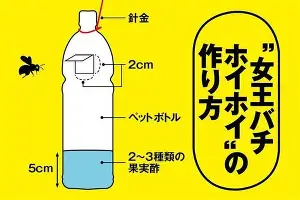 官网入口-重磅！国际比赛日底特律活塞备战全明星赛今晨法兰克福调整名单以备国王杯，斯图加特战术微调的简单介绍